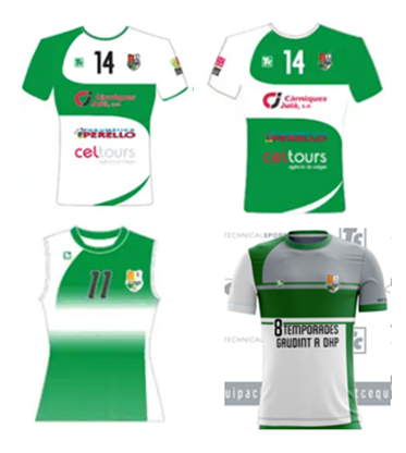 EQUIPACIÓ VOLEIBOL SÈNIOR